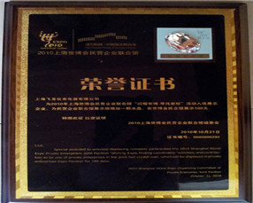 2010 Shanghai World Expo certificate
