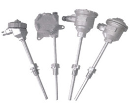 WR series flameproof thermocouple / thermal resistance